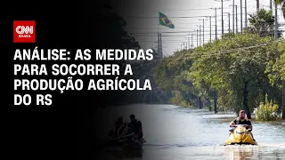 Análise: as medidas para socorrer a produção agrícola do RS | WW