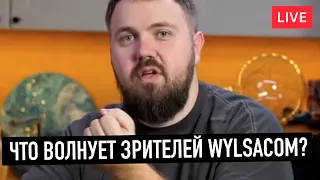 Что волнует зрителей Wylsacom?