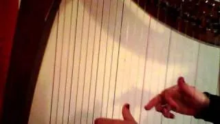 Road to Lisdoonvarna oefen-video harp