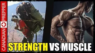Muscle Vs Strength: Explained Simply/ Do you Need Muscle for SHTF?