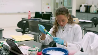 Master's in Biotechnology at USF - Advantages of Professional Science Master's