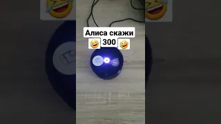 Алиса скажи 300