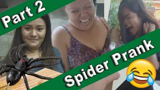 Scary Spider Box Prank (Part 2)