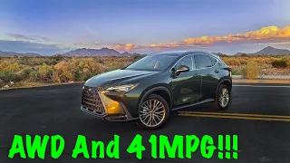 All NEW Lexus NX350h Review : Walk Around : Drive : Interior : Exterior : Drone : 2022 NX350