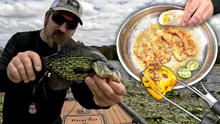 Crappie Fishing Withlacoochee River | Blackened Crappie Tacos | Catch, Clean, Cook