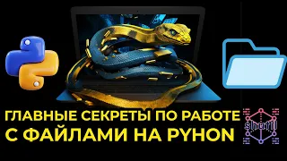 Shutil: лучший инструмент для управления файлами Python.