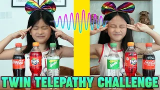 TWIN TELEPATHY CHALLENGE w/ Gwen Kate Faye