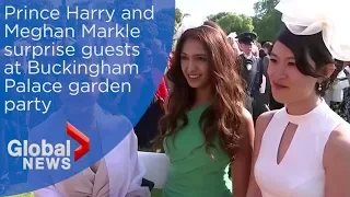 Harry & Meghan: Royal fans react to meeting Duke and Duchess of Sussex