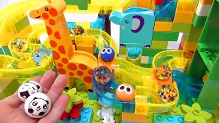 Water and Glass Sound ASMR Colorful Block x Water Marble Run Race