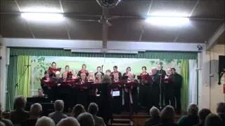 Canon of Praise (Johann Pachelbel arr. Hal H Hopson) 5th July 2015 - Carradine Choir