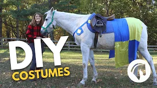 DIY Horse Costumes For Equestrians!