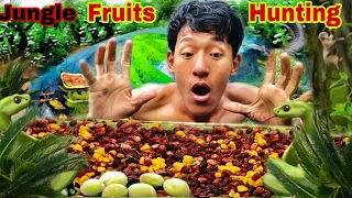 Jungle Fruit Hunting / Fruits Hunting in Forest यति धेरै फल😇 Fruits Collection in Forest