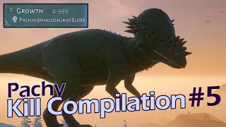 Pachy Kill Compilation - Ep. 5 | Beasts of Bermuda