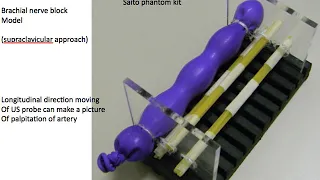 saito phantom kit for ultrasound guided nerve blocks training