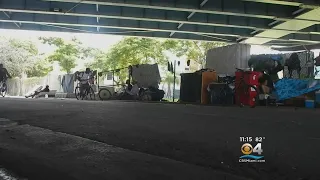 Continued Efforts To Clean Up Opioid Den In Downtown Miami Providing Results