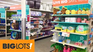 BIG LOTS SPRING HOME DECOR SUMMER DECORATIONS PLANTS FLORAL SHOP WITH ME SHOPPING STORE WALK THROUGH