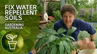 How to fix hydrophobic or water repellent soils with organic wetting agents