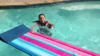 Swimming cat