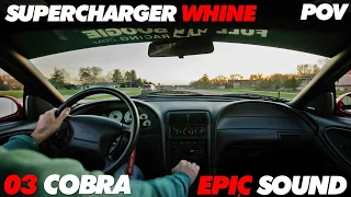 Terminator Cobra POV Pure Sound Supercharger Whine