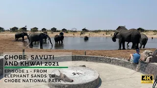 Chobe, Savuti and Khwai 2021: Episode 1 - From Elephant Sands to Chobe National Park