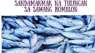 Sandamakmak na TULINGAN at Maliliit na Isda Dumagsa sa ROMBLON | Proud Romblomanon🐟😎