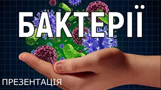 БАКТЕРІЇ Що тобі відомо про бактерії? ПРЕЗЕНТАЦІЯ