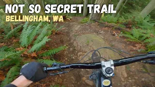 The Most Popular Unsanctioned Trail in Bellingham, WA - This Trail RIPS!!!