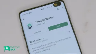 Hands on with the World's Fastest Bitcoin Wallet - Bitcoin.com Wallet Review