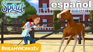 Entrenando a Gobernador | SPIRIT CABALGANDO LIBRE