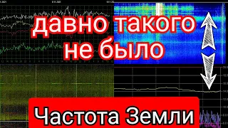 Повышение частоты в Томске обзор графиков Резонанса Шумана из разных стран 8.11.2021 и 9.11.2021 год