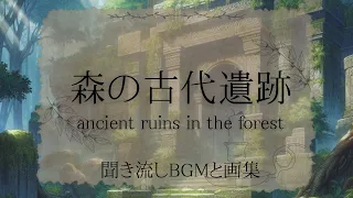 異世界 BGM ファンタジー　森の古代遺跡 聞き流しBGMと画集　Another World BGM Fantasy Ancient Ruins in the Forest