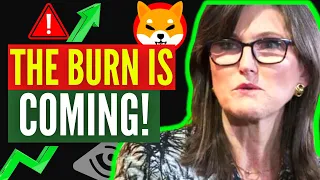 *URGENT* 100 TRILLION SHIBA INU COINS BURN IS COMING!! 20% OF SHIB SUPPLY!! – EXPLAINED