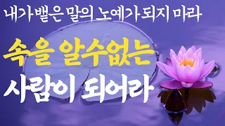 아무리 친해도 절대 드러내면 안 되는 것 | 친할수록 숨겨야하는 것  | 석가모니 부처님 명언 |불교 철학| 처세 삶의지혜 플라톤 현실조언 인간관계 조언 ASMR 수면 잠잘때