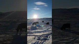 Sunset on an open range in Casper, Wyoming