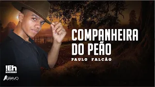 Paulo Falcão | Companheira do Peão | Lançamento Bruto Sertanejo | Verão 2022