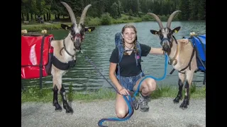 Isaline Wyssenbach part avec ses #chèvre 🐐🐐pour un voyage initiatique ✨Lancer du #drapeau🥇🇨🇭#suisse