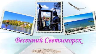 Весенний Светлогорск