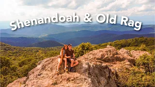 WE’RE IN VIRGINIA! SHENANDOAH TRAVEL VLOG | USA ROAD TRIP