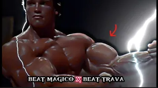 Arnold Schwarzenegger X Beat Magico X Beat Trava || How To Train For Mass