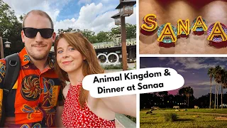 Day 8 - Walking to the Disney McDonald's, Animal Kingdom & Sanaa Dinner