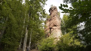 Nordvogesen. Vosges du Nord. Wanderung. Trekking. Hiking. Elsass. Alsace. Frankreich. France.