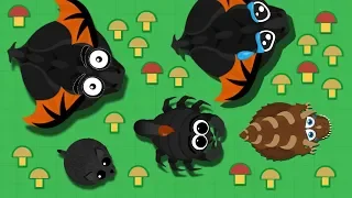 BLACK DRAGON EATS DINO MONSTER AND BD // RARE BLACK PANTHER MOPE.IO