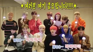 [세븐틴] 세븐틴 박수 응원법 13명이름부르기 (나노단위로!)