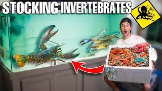 Catching Tons Of INVERTEBRATES For My PET GROCERY STORE LOBSTER Aquarium!