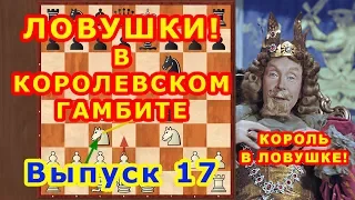 Королевский гамбит 17 КОРОЛЬ В ДЕБЮТЕ НЕ ВОИН! ♔ Шахматы и Шахматные Ловушки ♕