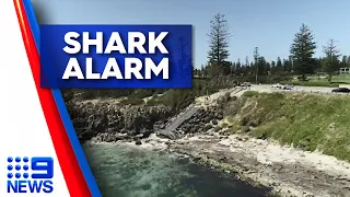 A new shark warning system has been activated at one of Perth's most popular beaches