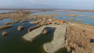 Озеро Аджи Папасское охотхозяйство