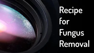 Lens repair : Recipe for fungus cleaning