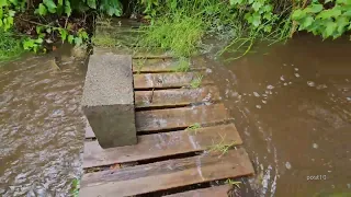 Watching A Flash Flood In My Yard