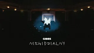 Gibbs - Niewidzialny